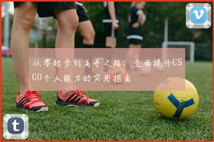 从零起步到高手之路：全面提升CSGO个人能力的实用指南