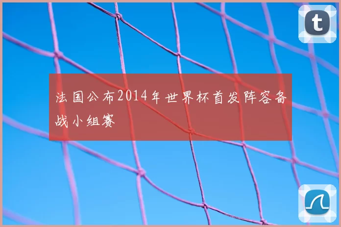 法国公布2014年世界杯首发阵容备战小组赛