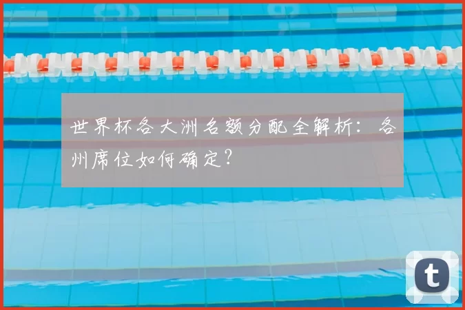 世界杯各大洲名额分配全解析:各州席位如何确定?