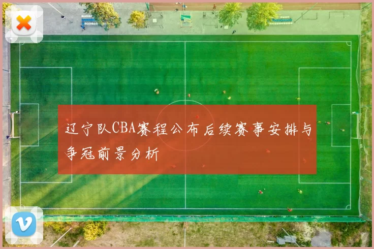 辽宁队CBA赛程公布后续赛事安排与争冠前景分析