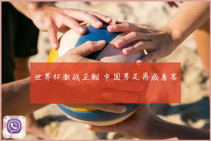 世界杯激战正酣 中国男足再成看客