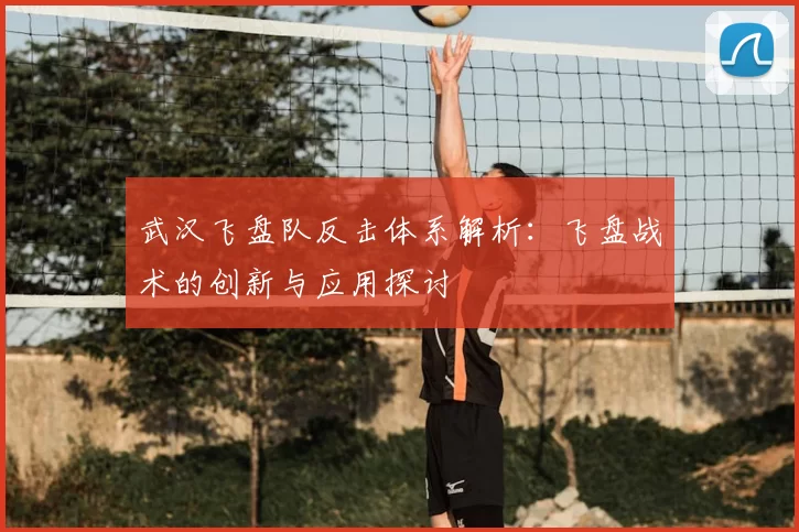 武汉飞盘队反击体系解析：飞盘战术的创新与应用探讨