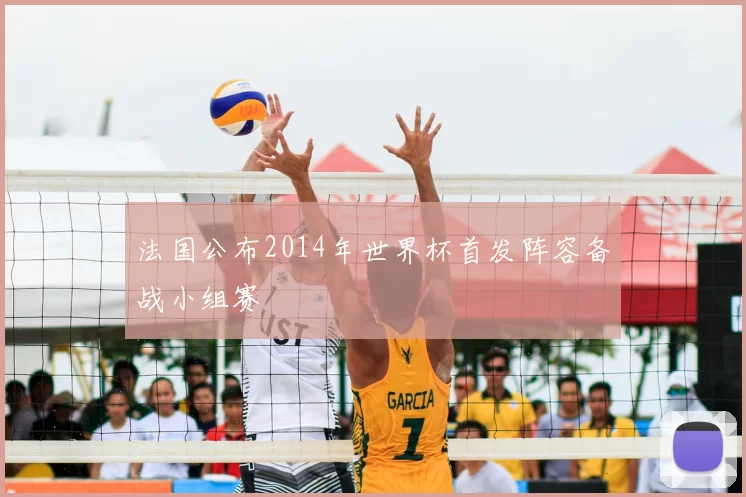 法国公布2014年世界杯首发阵容备战小组赛