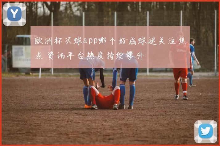 欧洲杯买球app哪个好成球迷关注焦点 资讯平台热度持续攀升
