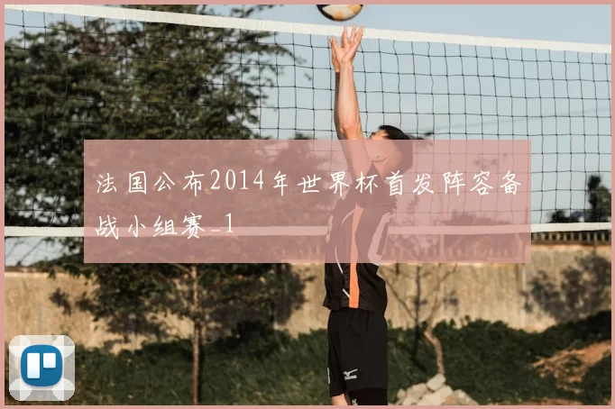 法国公布2014年世界杯首发阵容备战小组赛_1