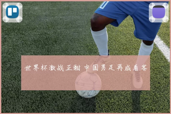 世界杯激战正酣 中国男足再成看客