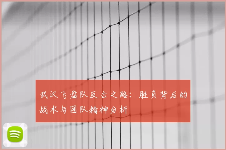 武汉飞盘队反击之路:胜负背后的战术与团队精神分析