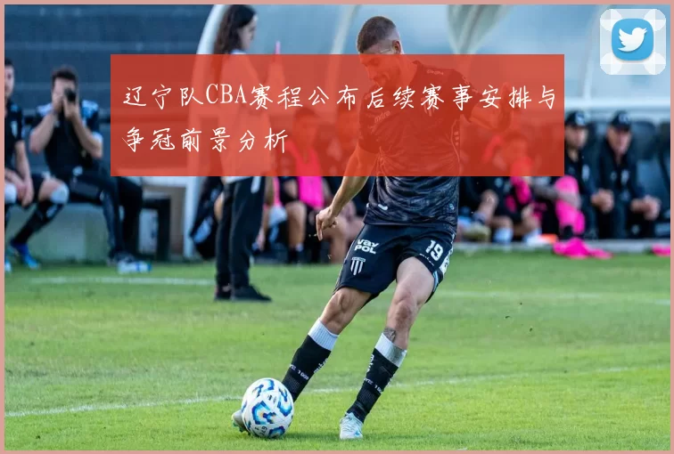 辽宁队CBA赛程公布后续赛事安排与争冠前景分析